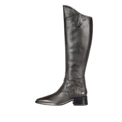 High Boot Ombreggiato Bronze