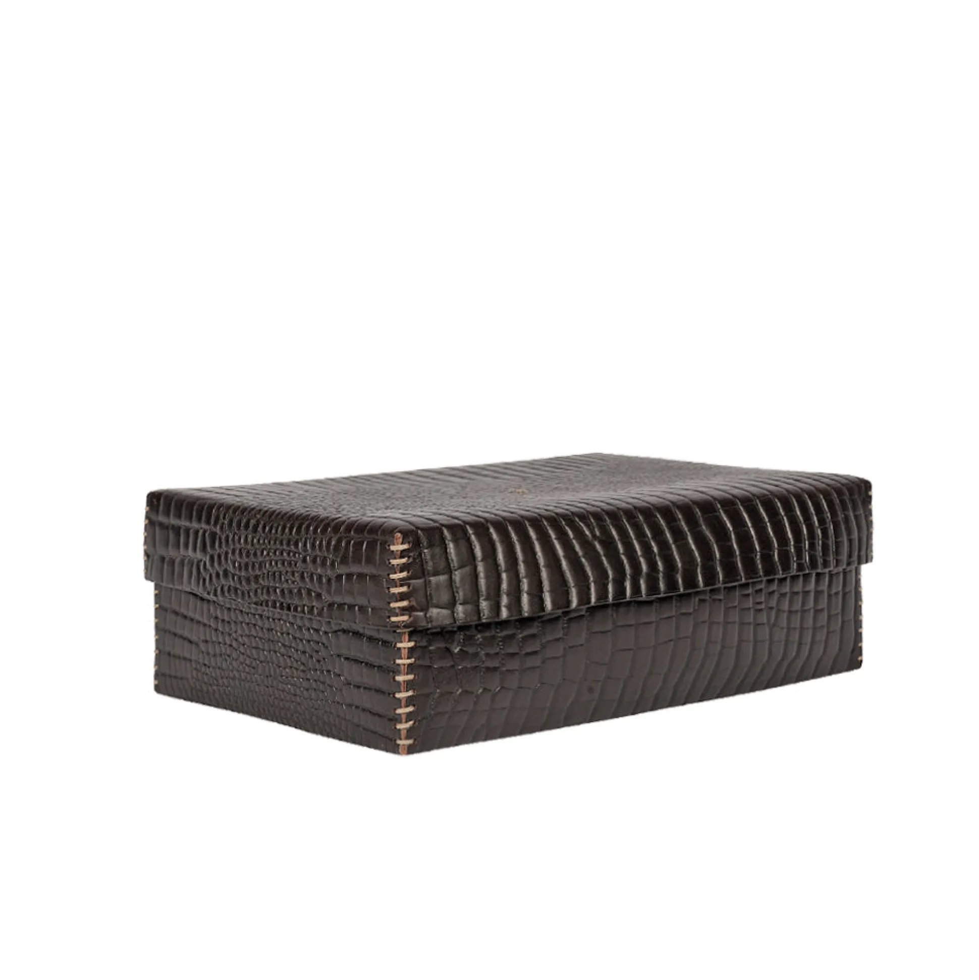 Scatola Liscia L Printed Crocodile Brown